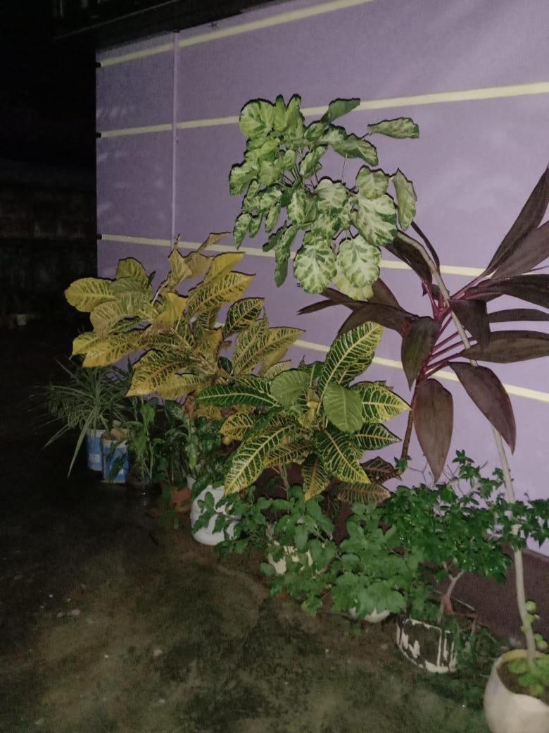 Vian Homestay Honāvar Exteriér fotografie